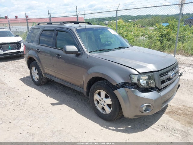 Salvage Ford Escape Image