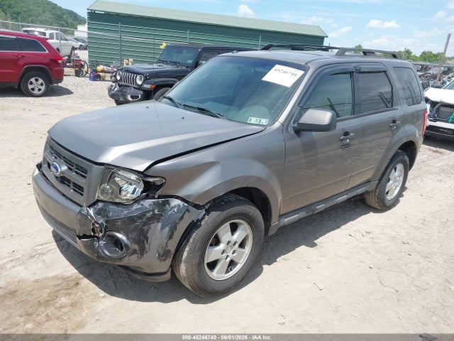 Ford Escape Xlt