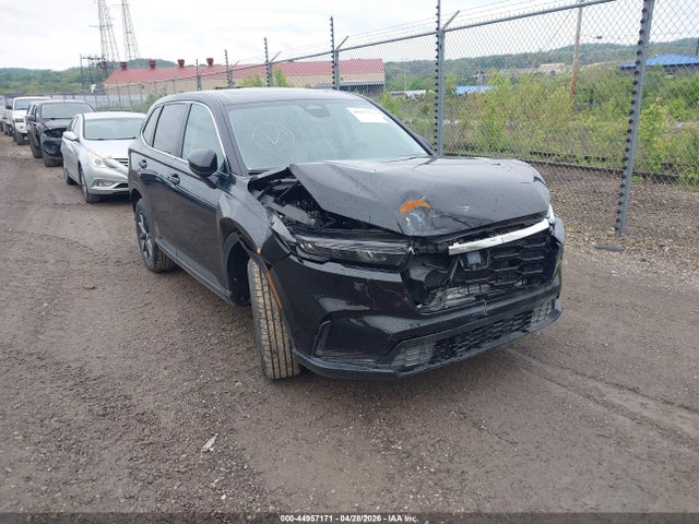 Salvage Honda CR-V Image