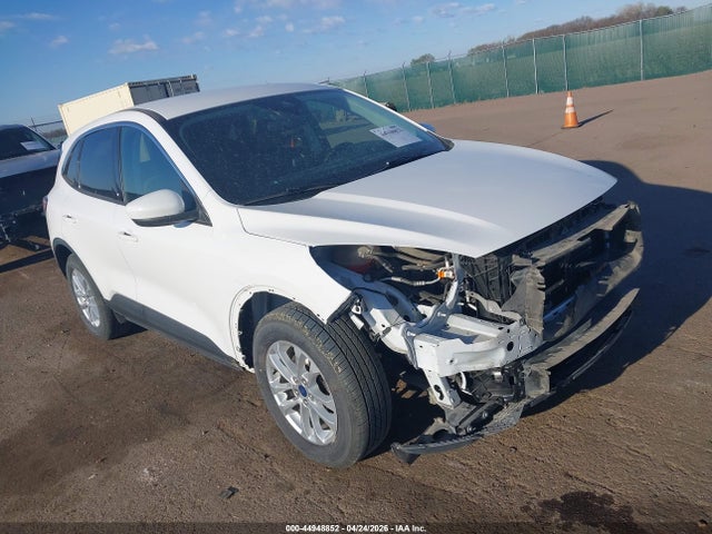 Salvage Ford Escape Image