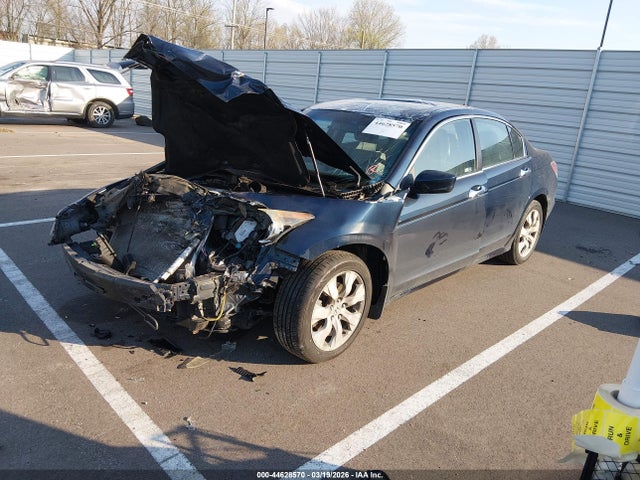 Honda Accord 3.5 Ex-l