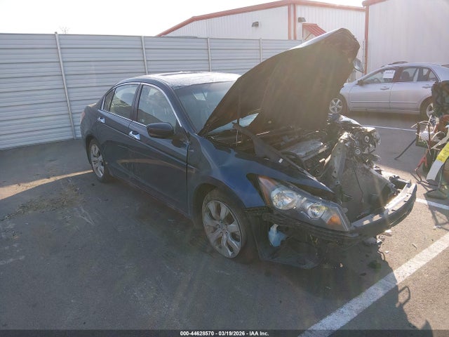 Salvage Honda Accord Image