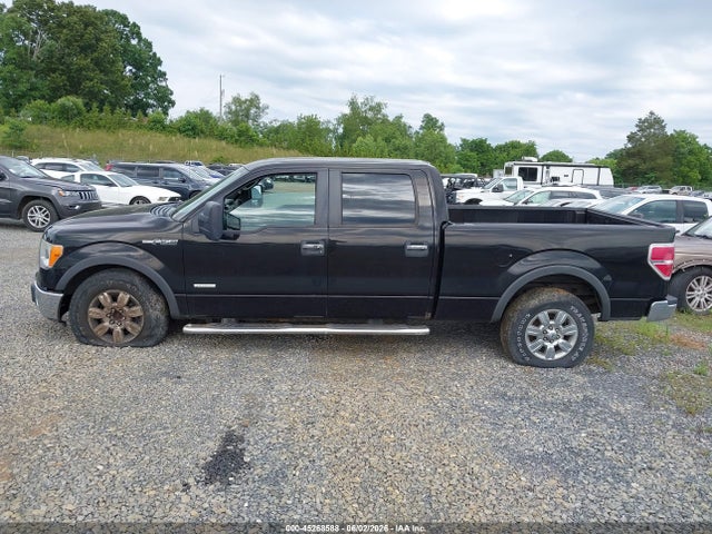 Ford F-150 Xlt
