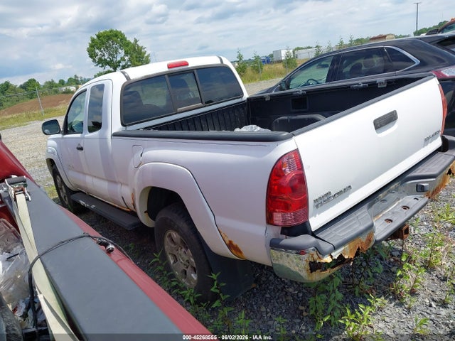 Toyota Tacoma Base V6