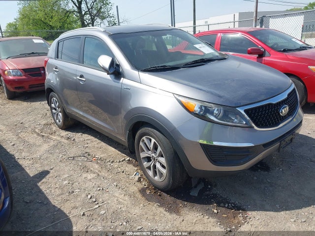 Salvage Kia Sportage Image