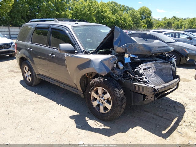Salvage Ford Escape Image