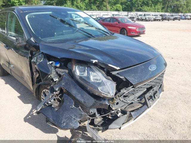 Ford Escape Sel