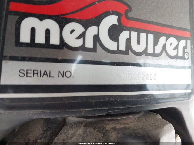 Celebrity Other