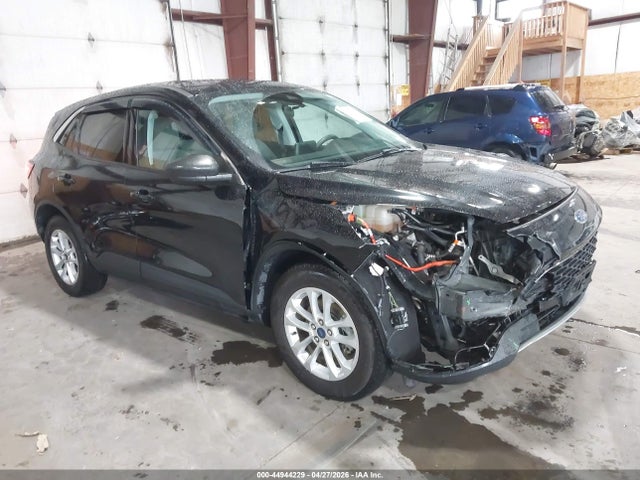 Salvage Ford Escape Image