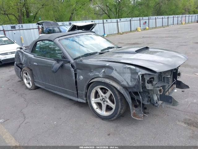 Salvage Ford Mustang Image