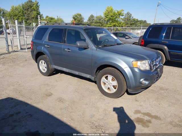 Salvage Ford Escape Image