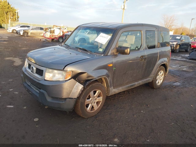 Honda Element Ex