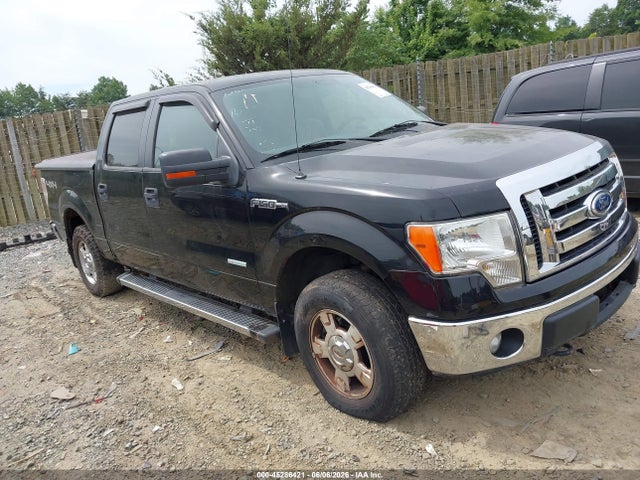 Salvage Ford F-150 Image