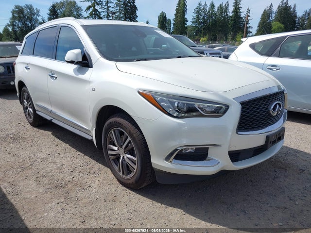Salvage INFINITI Qx Image