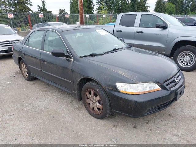 Salvage Honda Accord Image