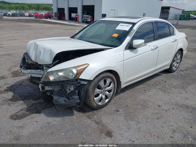 Honda Accord 3.5 Ex-l