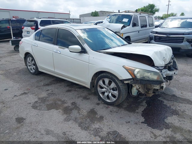 Salvage Honda Accord Image