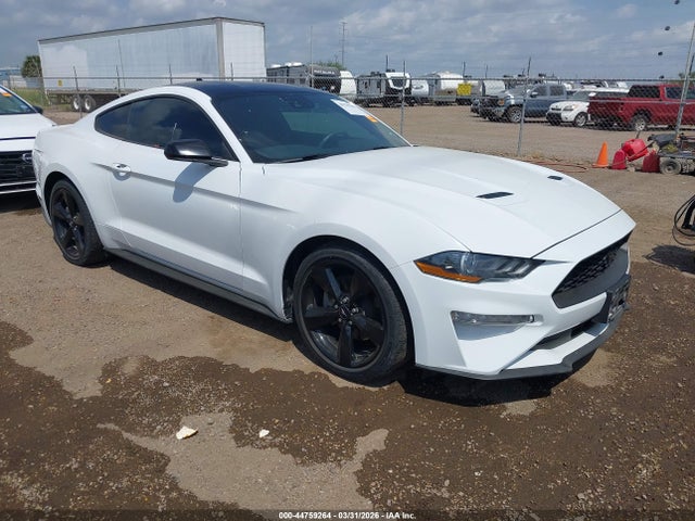 Salvage Ford Mustang Image