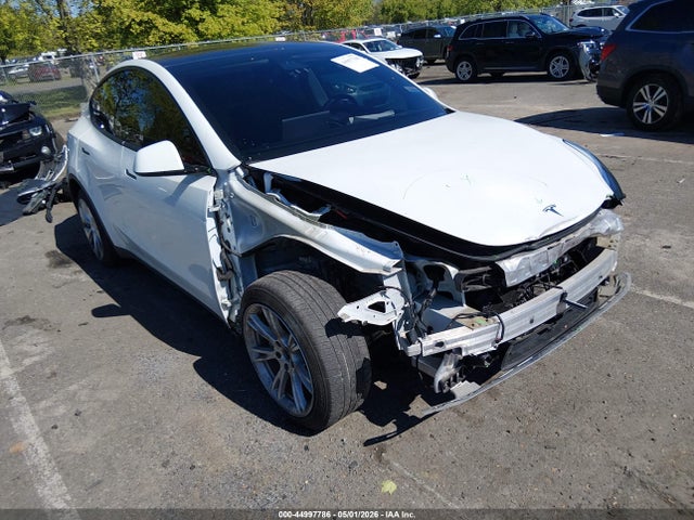 Salvage Tesla Model Y Image