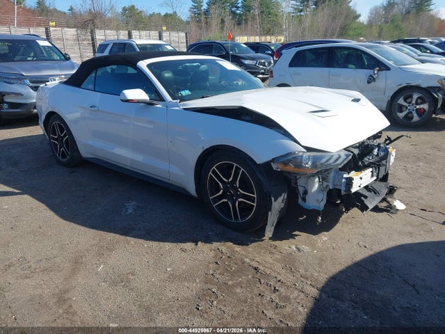 Salvage Ford Mustang Image