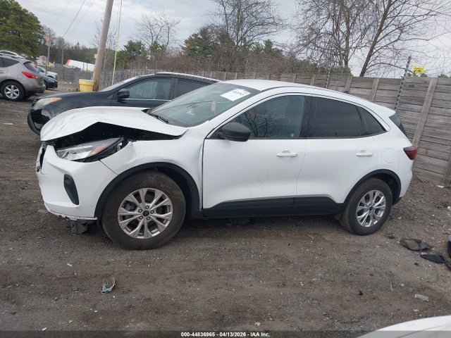 Ford Escape Active