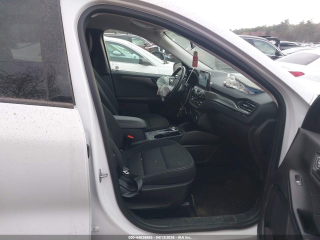 Ford Escape Active
