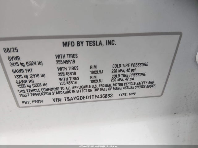 Tesla Model Y