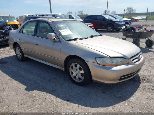 Salvage Honda Accord Image