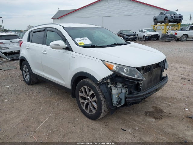 Salvage Kia Sportage Image