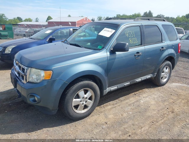 Ford Escape Xlt