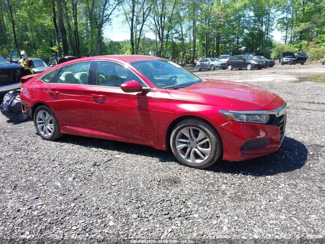 Salvage Honda Accord Image