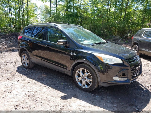Salvage Ford Escape Image