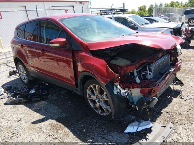 Salvage Ford Escape Image