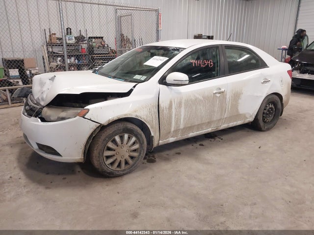 Kia Forte Ex