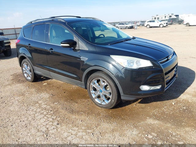 Salvage Ford Escape Image