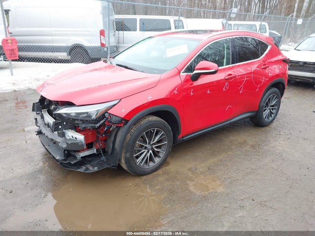 Lexus NX Premium
