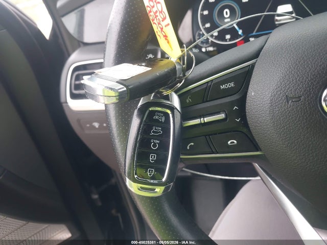 Hyundai PALISADE Calligraphy