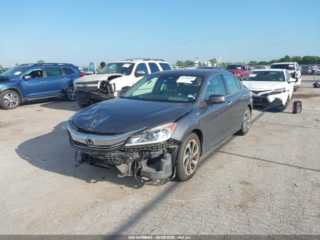 Honda Accord Ex-l V-6