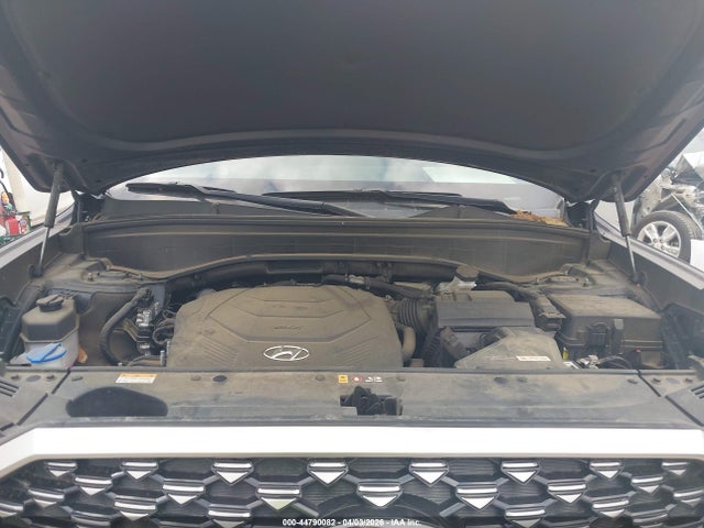 Hyundai PALISADE Calligraphy