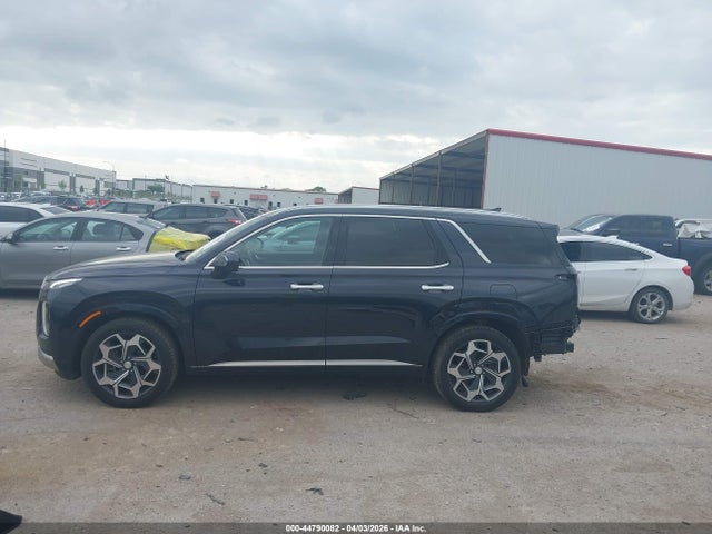 Hyundai PALISADE Calligraphy
