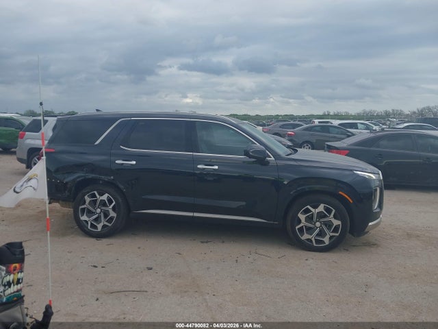 Hyundai PALISADE Calligraphy