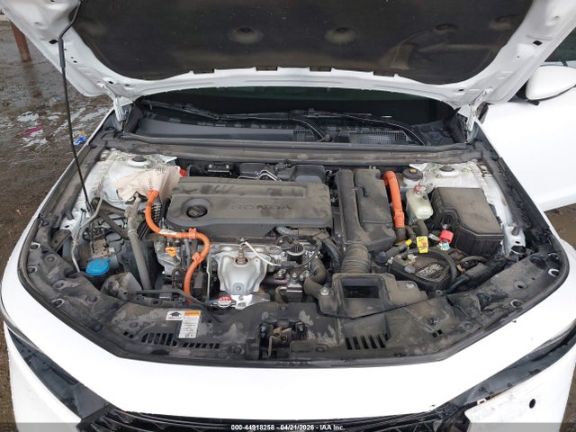 Honda Accord Ex-l