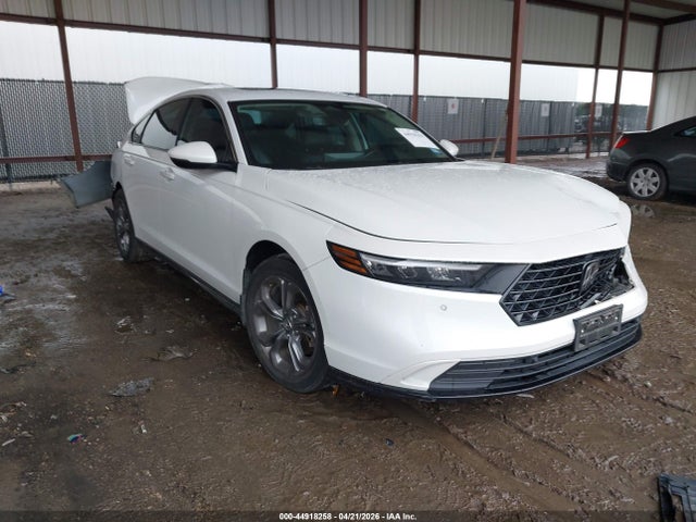 Salvage Honda Accord Image