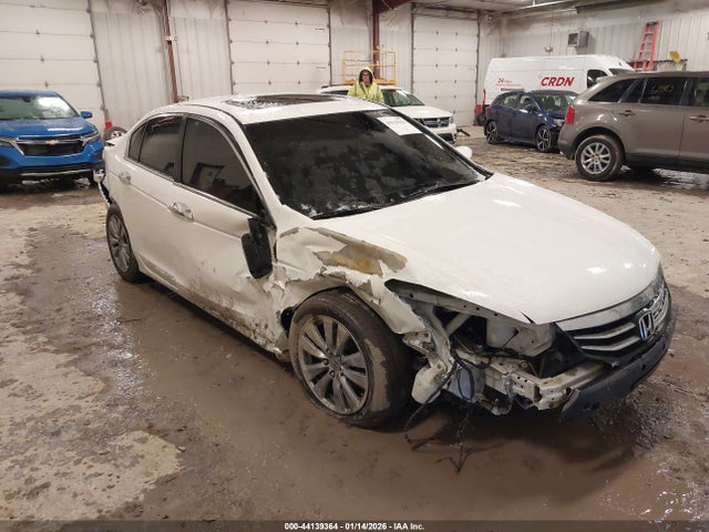 Salvage Honda Accord Image