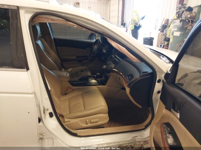 Honda Accord 3.5 Ex-l