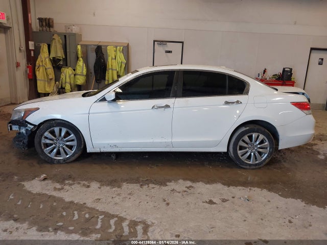 Honda Accord 3.5 Ex-l
