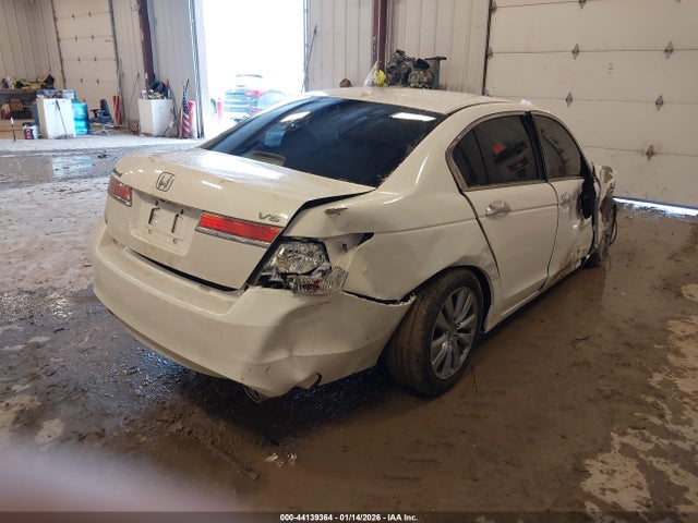 Honda Accord 3.5 Ex-l