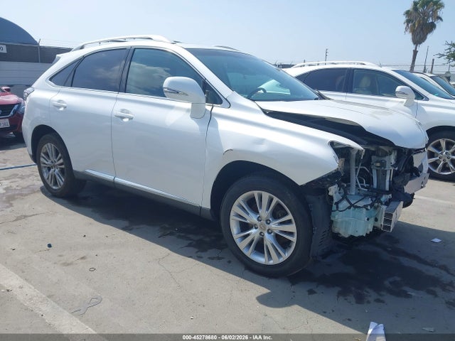 Salvage Lexus RX Image