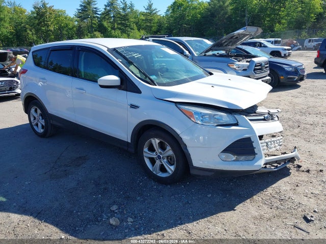 Salvage Ford Escape Image