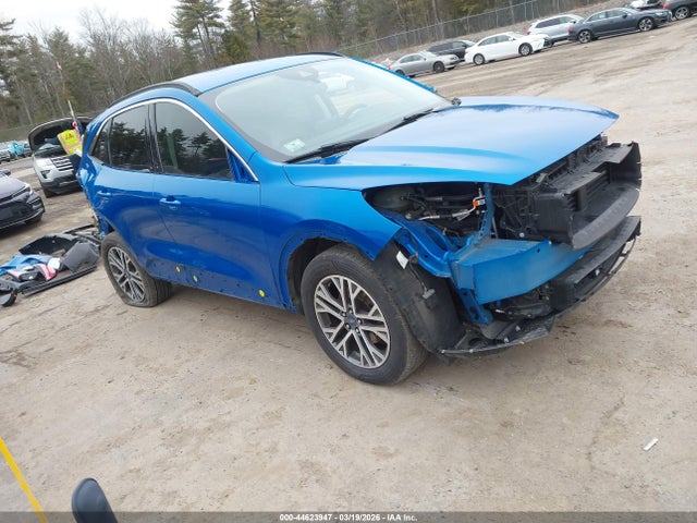 Salvage Ford Escape Image